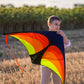YFAFENGS Large Delta Kite for Kids & Adults - Easy to Fly Outdoor Kites for Beach & Family Fun, Includes Line & Handle, Perfect