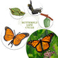 Mbrain 4Pcs Butterfly Growth Cycle With Flash Cards,Life Cycle Learning & Education Toys,Montessori Toys,Gift For Girl & Boy For