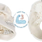 Axis Scientific Human Skull Model for Anatomy Life Size  3-Part Anatomy Skull Includes Skull Cap with External and Interior Structures  Includes Detailed Product Manual  Skull for Anatomy