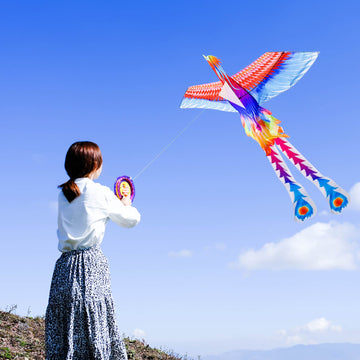 Mint’S Colorful Life Rainbow Phoenix Kite For Kids And Adults, Easy To Fly Large Beach Kites