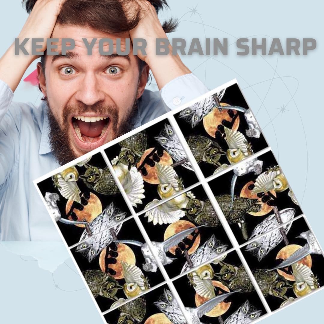 B Dazzle Owls Scramble Squares 9 Piece Puzzle