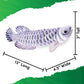 Real Planet Sea Life Plush - Arowana Realistic Soft Plush Stuffed Fish, Sealife Tropical Fish Animal Plush For Boys & Girls, (Arowana, 13') (13' Long)