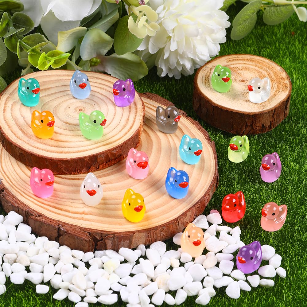 Dulefun 200Pcs Luminous Mini Resin Ducks 20 Colors Small Tiny Little Duck Figurines To Hide Glow In The Dark Miniature Figures F