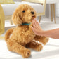 Sky Rocket My Fuzzy Friend Moji Interactive Labradoodle - Plush Interactive Dog Toy For Boys And Girls, Loveable And Lifelike Co