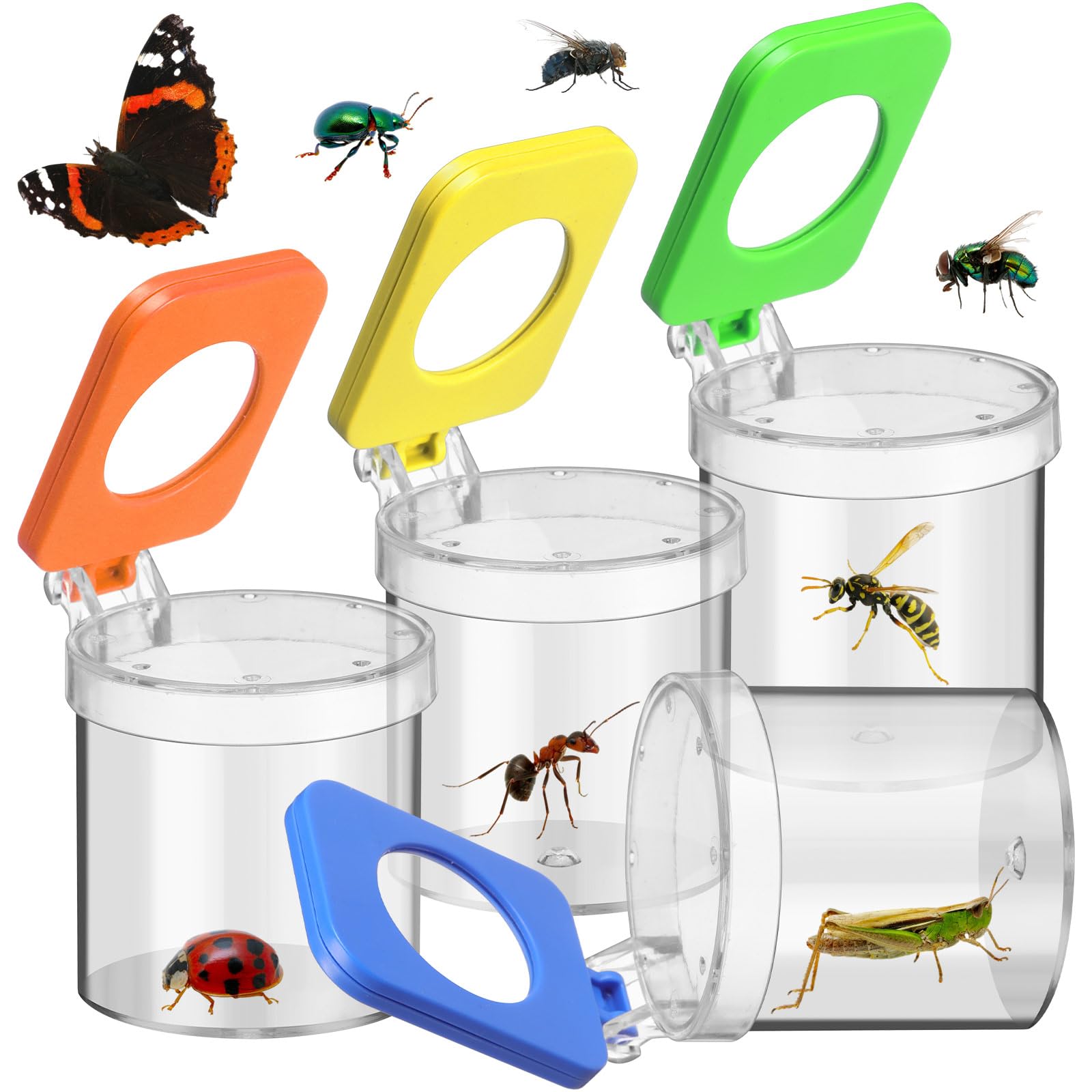 Halloscume 4 Pcs Insect Bug Viewer for Kids Magnifying Insect Box Bug Catcher Magnifier Container Critter Collection Kit Insect 