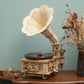 Rowood 3D Wooden Puzzle, Classical Mechanical Model Kit To Build, Best Gift For Teens Adults - Gramophone