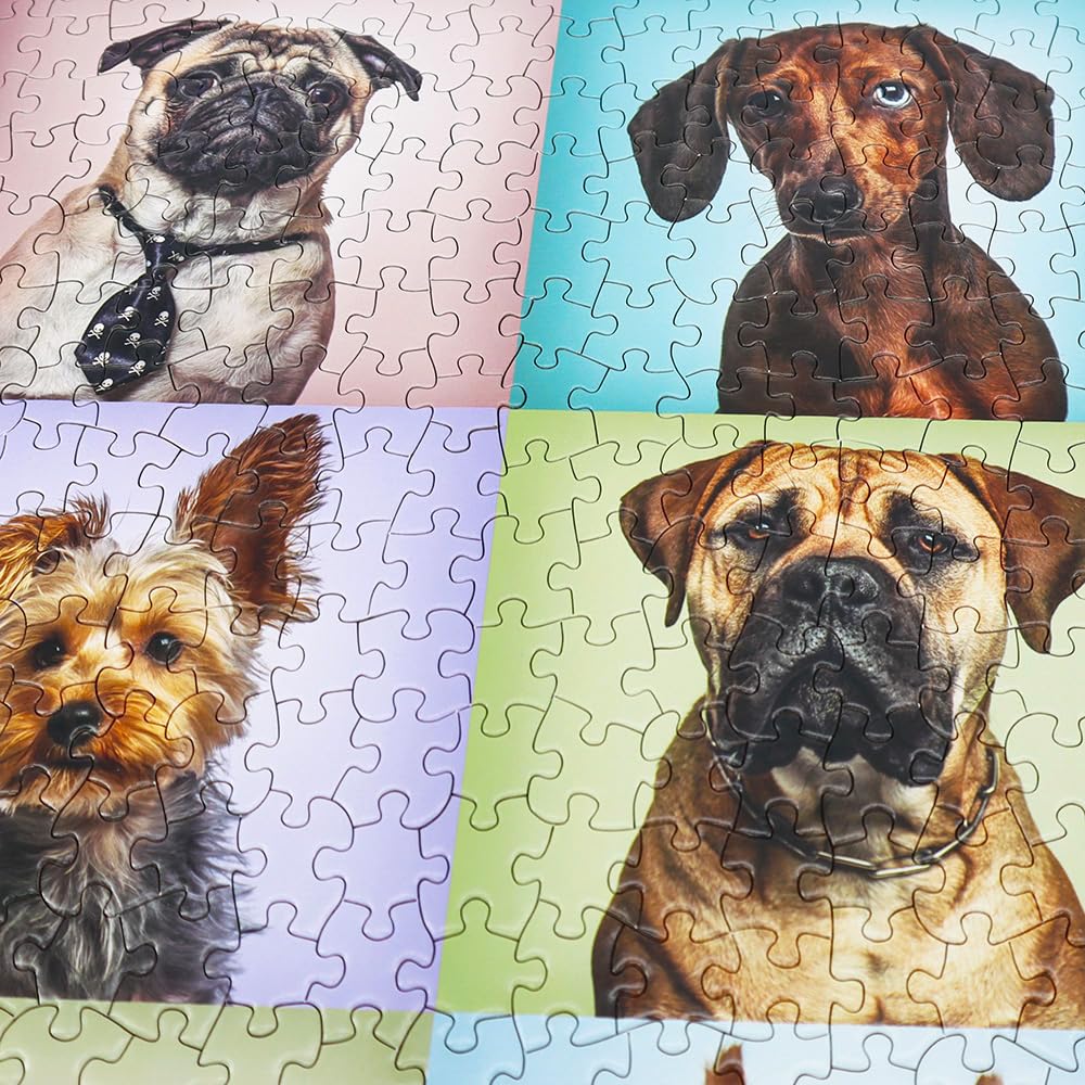BEDUKE Jigsaw Puzzles for Adults 1000 Piece - Every Piece is Unique - Precise Interlocking Thick Sturdy Cardboard Dogs Animals F