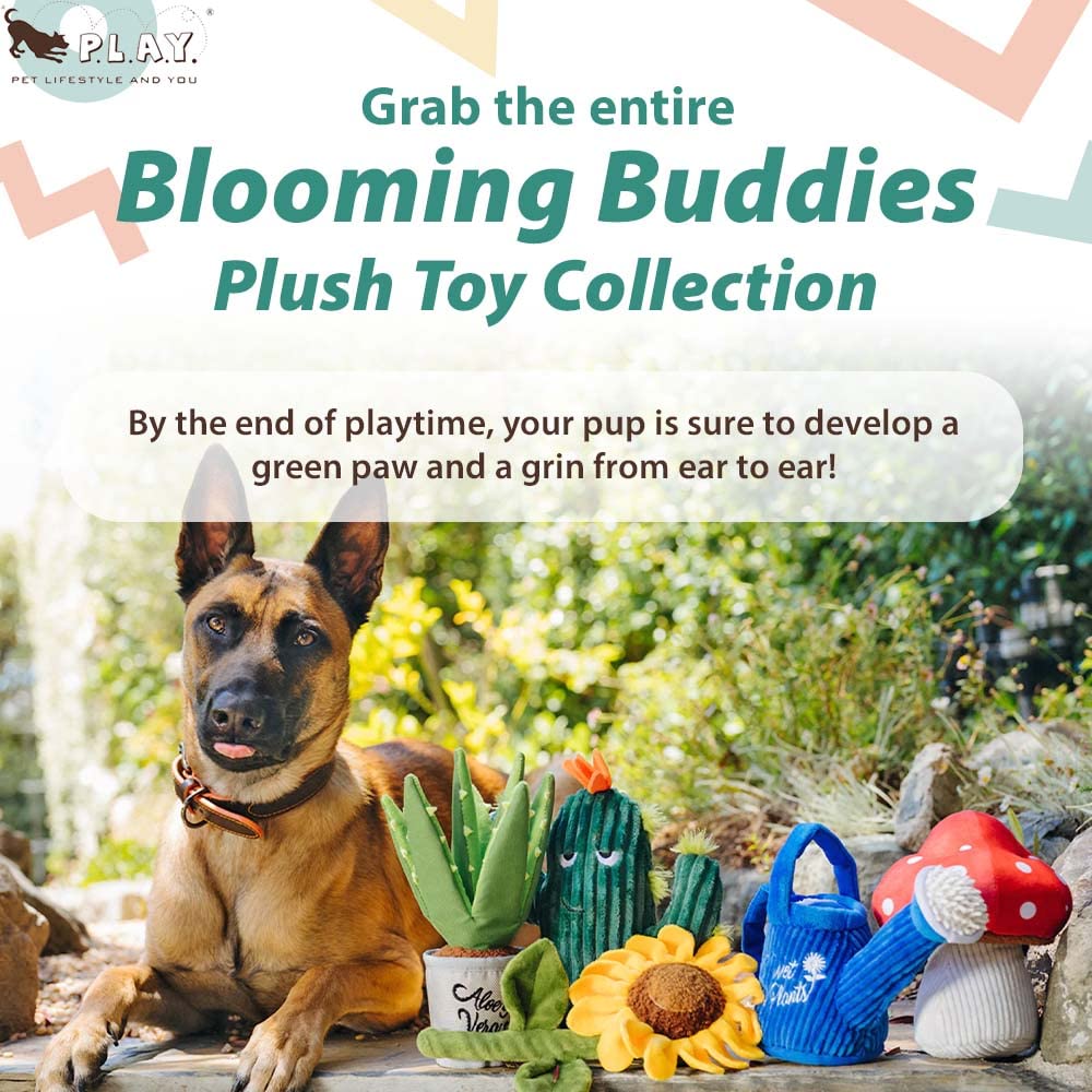 P.L.A.Y. Cute Plush Dog Toys - Blooming Buddies, Plant Themed Durable Squeaker Chew Toy, Great For Puppies & Small, Medium, Larg