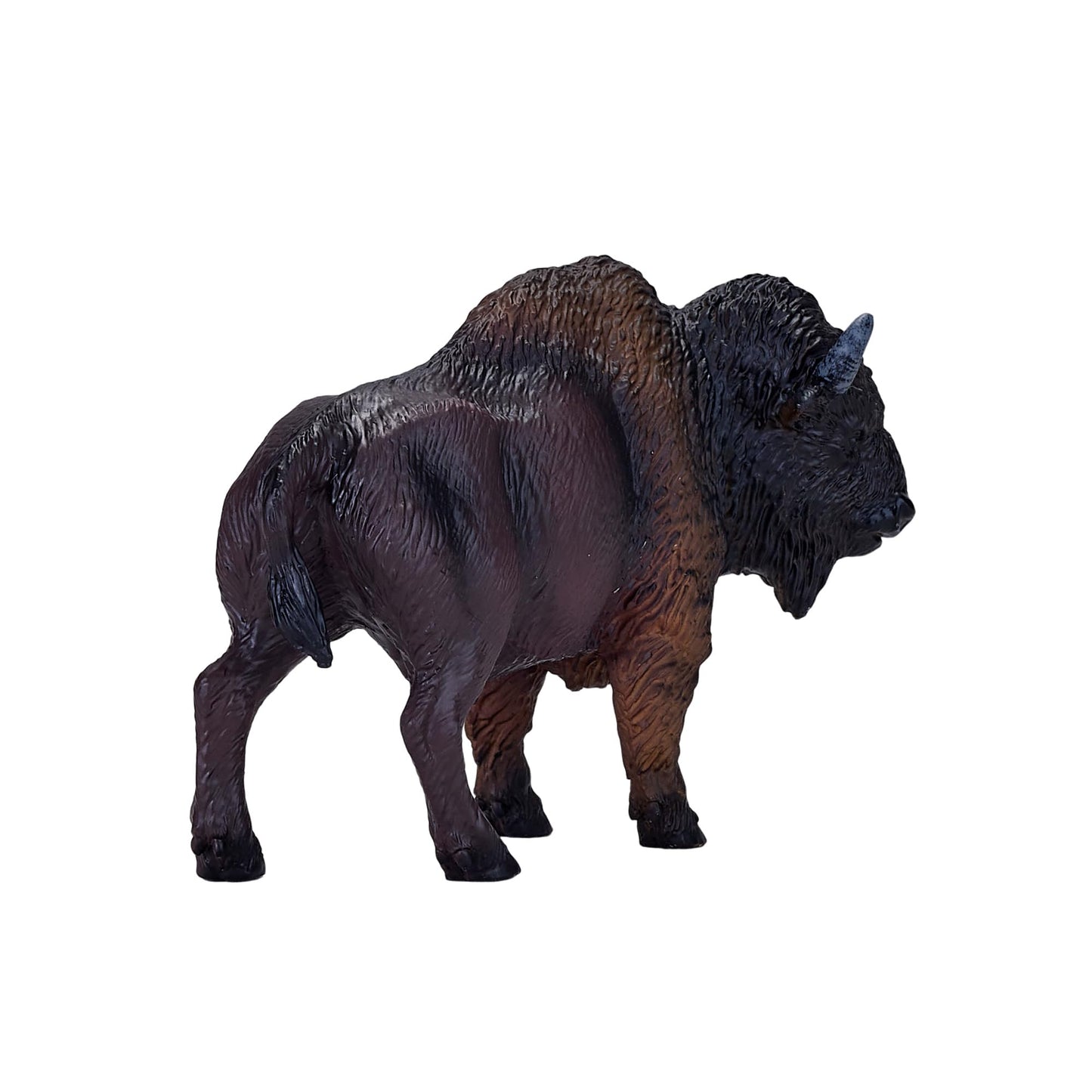 Mojo American Bison/Buffalo