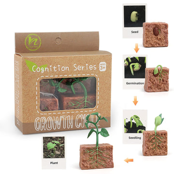 Montessori Life Cycle Animal Figures With Flash Cards, Realistic Animal Figurines Toy, Animal Educational Matching Game For 3+ Y