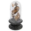 Creative Co-Op Decorative Multicolor Tin Sacred Hearts on Wood Pedestal with Glass Cloche - Unique Home Decor Accent