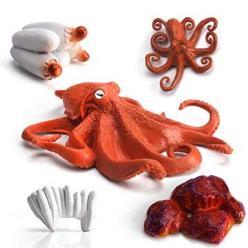 Fantarea Realistic 4 PCS Sea Marine Animal Figures Ocean Creatures Action Models Life Cycle Octopus Figure Cake Toppers Party Fa