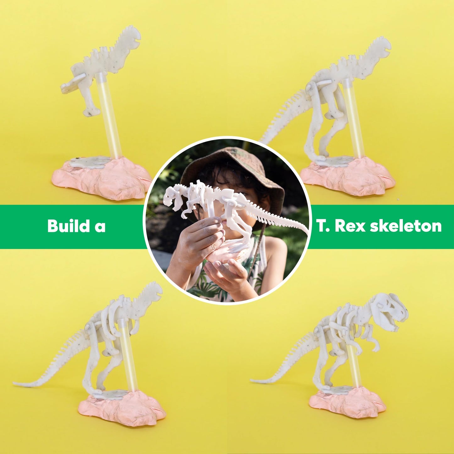 Kiwico Dinosaur Fossil Dig Kit For Kids Age 6+ | Excavate & Build Dinosaur Skeleton, Make Fossil Impressions | Stem Paleontology