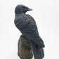 Pacific Giftware Dark Raven Crow Perched On Tree Stump Collectible Figurine Lifelike Colors 6 Inch Halloween Haunted House Evil Decor