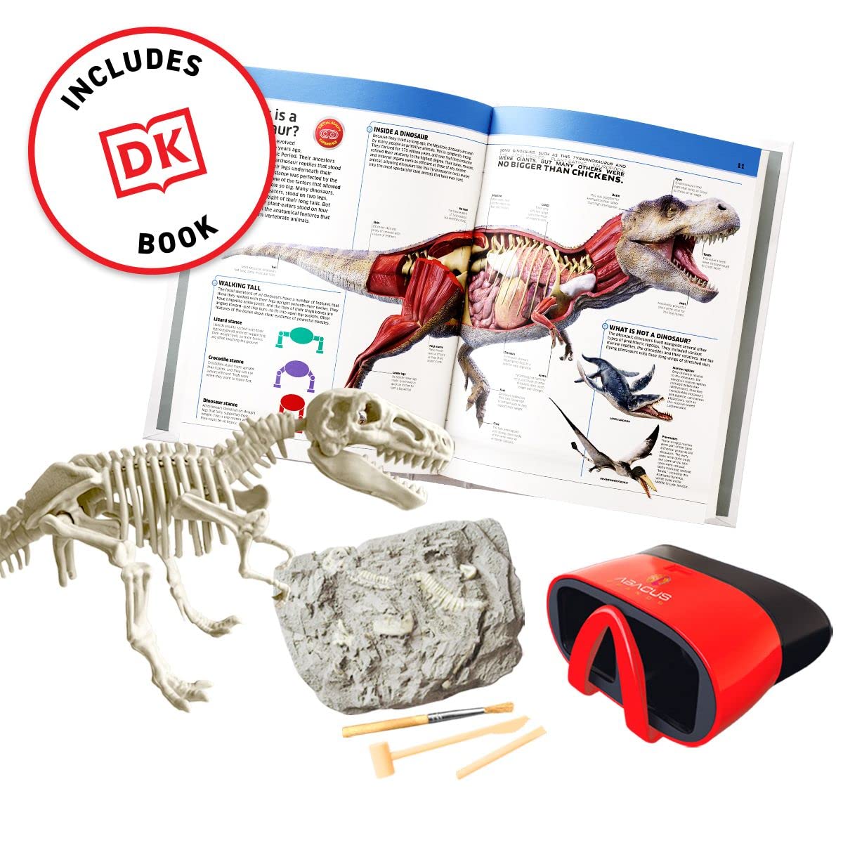 Abacus Brands Virtual Reality Dinosaurs Gift Box - Illustrated Interactive Vr Book And Stem Learning Activity Set - For Ages 8 A