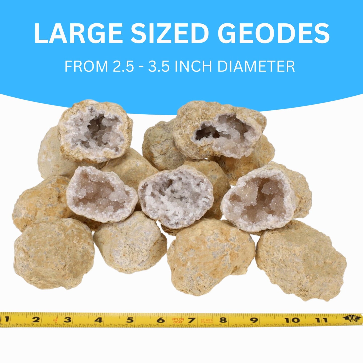 TRUENERGY Large Break Your Own Geodes 10 (2.5 -3.5) enhanced Easy to Open Geode with Crystals - Includes Magnifying Glass and Instructions  STEM Science Kit