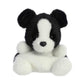 Aurora Adorable Palm Pals Brody Collie Stuffed Animal - Pocket-Sized Play - Collectable Fun - Black 5 Inches