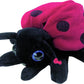 Hape Beleduc Ladybug Glove Puppet