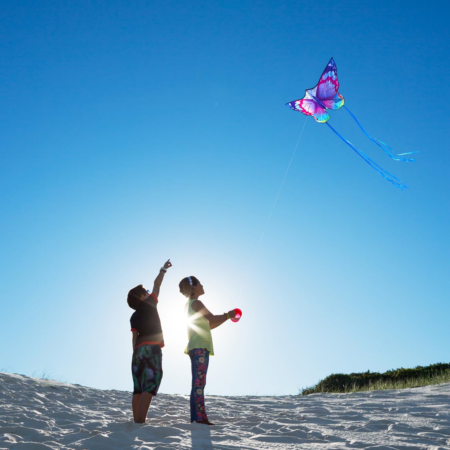 Flying Hoofer Large Butterfly Kites for Kids and Adults, Easy to Fly and Assemble for Beginners and Toddlers, Comes with 300ft K
