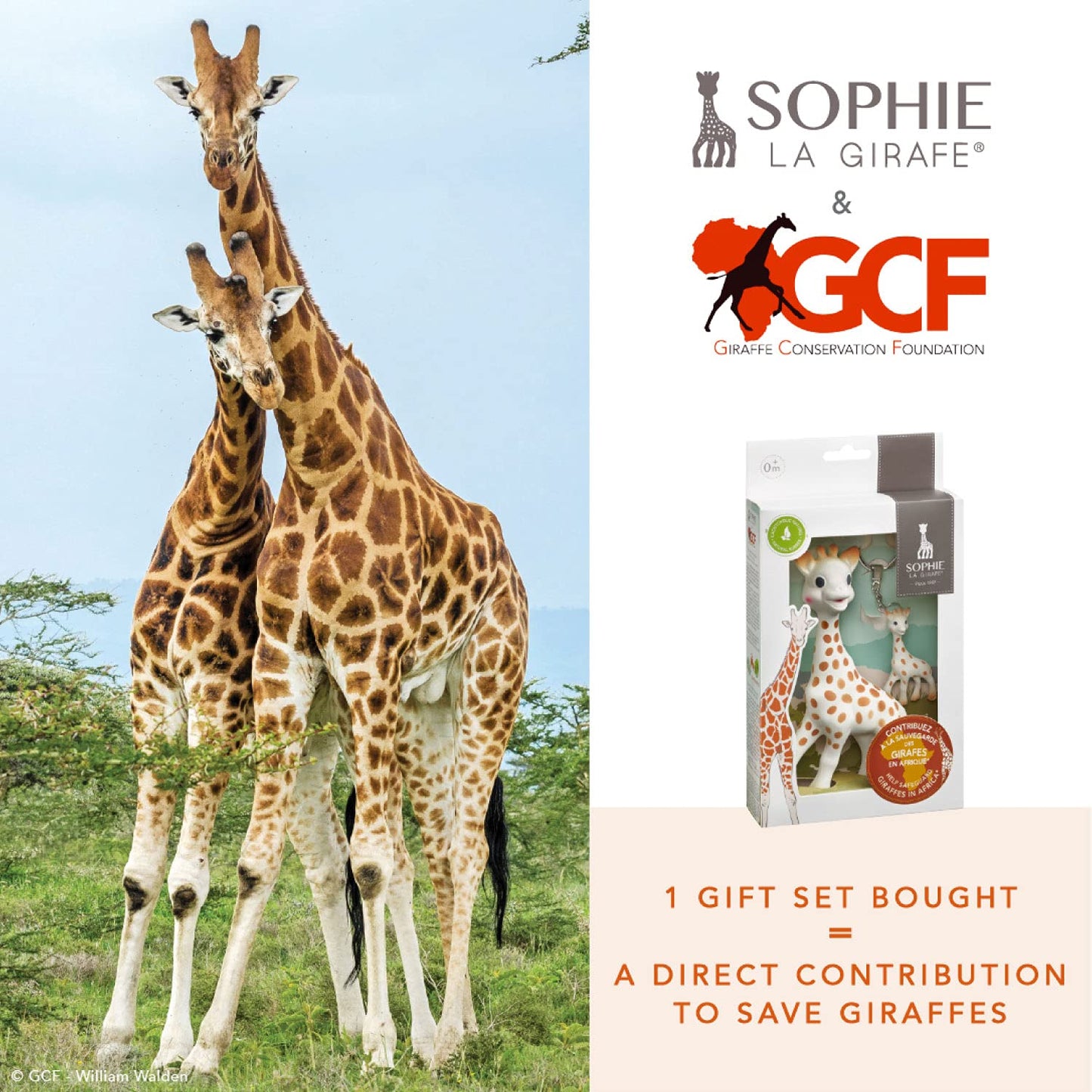 Sophie la girafe Giraffe Conservation Foundation Set - Handcrafted Natural Rubber Teething Toys, Small, Includes Mini Keychain, Model 516514