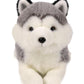 Ice King Bear 8" Gray Little Siberian Husky Plush Toy - Soft Polyester Stuffed Animal, Model IKB6910915s