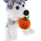 Plushland Halloween Pawpals 8 Inches Puppy Dog Plush Stuffed Toy Comes With Hat And Halloween Jack O Lantern - Pumpkin For Kids On This Holiday (Husky)