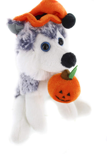 Plushland Halloween Pawpals 8 Inches Puppy Dog Plush Stuffed Toy Comes With Hat And Halloween Jack O Lantern - Pumpkin For Kids On This Holiday (Husky)