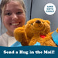SendAFriend Toby The Teddy Bear Stuffed Animal Care Package, 10" Brown Polyester Gift Box for Any Occasion