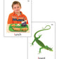 Super Duper Publications | Articulation Photos L Sound Fun Deck Flash Cards | Educational Learning Resource For Children