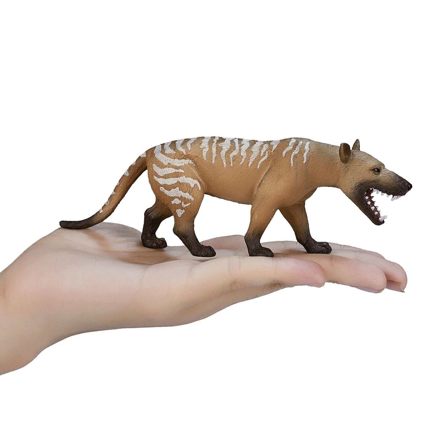 Mojo Hyaenodon Gigas Realistic Prehistoric Extinct Animal Collection Hand Painted Toy Figurine