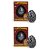 Class Collections Surprise Growing Dragon Hatch Egg Kids Novelty Toy - Pack Of 2, Black