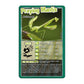 Top Trumps Bugs Classic Card Game, Learn Facts About The Black Widow, Furry Tarantula, Praying Mantis And The Ladybird In This E