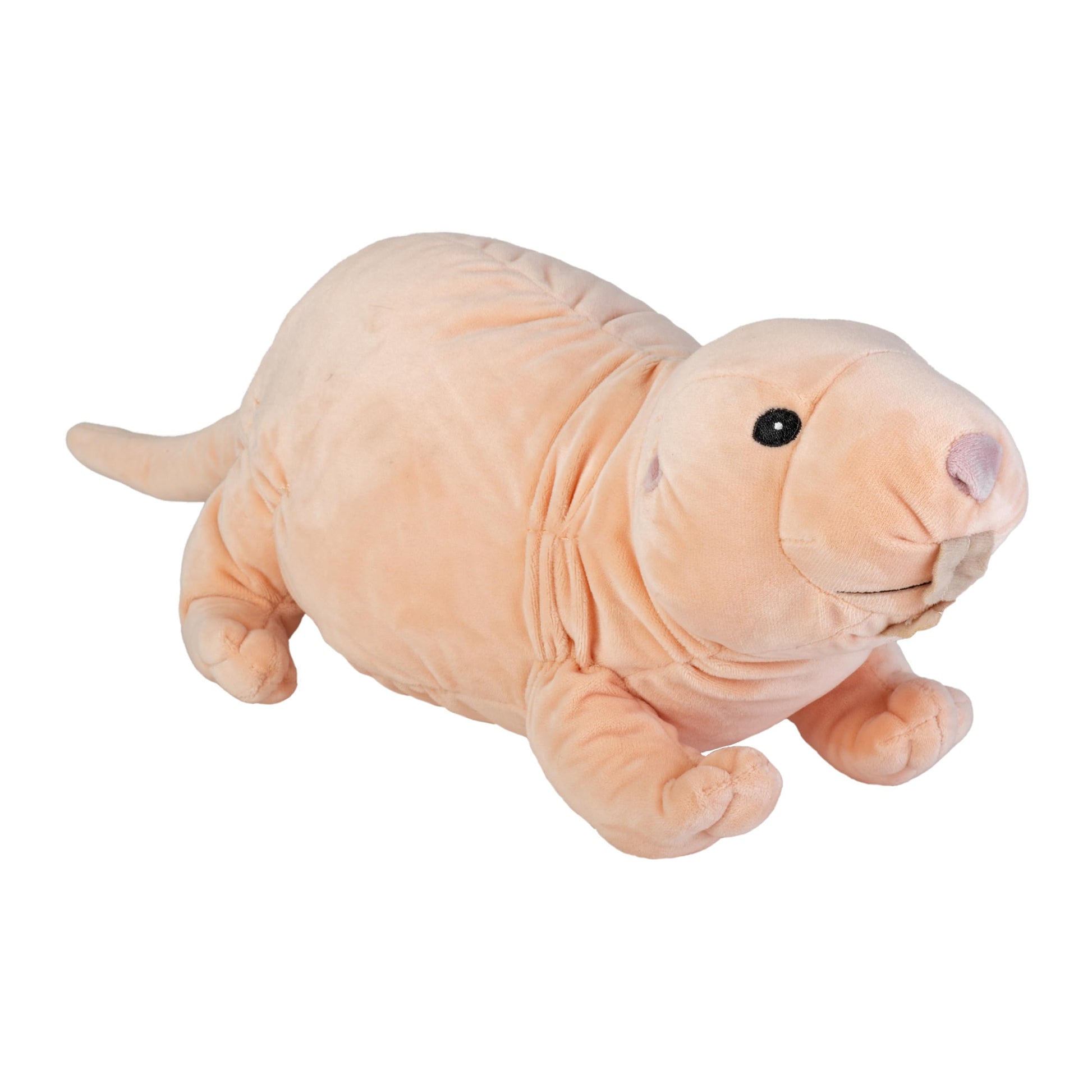 Wild Republic Cuddlekins Eco Naked Mole Rat, Stuffed Animal, 12 Inch, Plush Toy, Ecofriendly