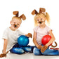 Syhood Puppy Dog Costume Set Kids Dog Ears Headband Bowtie Nose Tail Paw Gloves Puppy Animal Costume For Halloween Carnival Worl