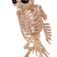 Crazy Bonez Skeleton Owl