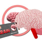 Giantmicrobes Brain Plush, Brain Toy, Brain Stuffed Animal, Brain Gifts For Neurologist, Brain Surgery Recovery Gifts, Neurology Gifts, Neuroscience Gifts, Brain Injury Gift, Brain Decor, Biology Gift
