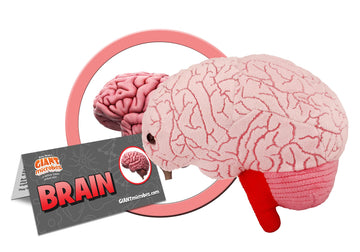 GIANTmicrobes Brain Plush Toy - Medium Pink Foam Stuffed Animal for Neurology Gifts, Surgery Recovery, and Brain Decor - Model 846869008623