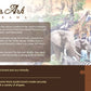 Noah'S Ark Pano 1000