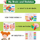 Freebear Montessori Busy Book For Kids, Human Body Anatomy Book For Toddlers, Preshool Kindergarten Learning Activities, Autism Sensory Toys, Travel Toys, Gifts For Girls And Boys 4 5 6 7 8 Years