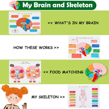 Freebear Montessori Busy Book For Kids, Human Body Anatomy Book For Toddlers, Preshool Kindergarten Learning Activities, Autism Sensory Toys, Travel Toys, Gifts For Girls And Boys 4 5 6 7 8 Years