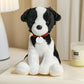 Plushland Plush Stuffed Dog Toy - Realistic Border Collie with Collar, 8 Inches, Multi-Color, Soft Polyester for Kids