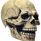 LEKA NEIL Skull Mask - Skull Mask with Movable Chin is suitable for youth or adults over 18 years old.