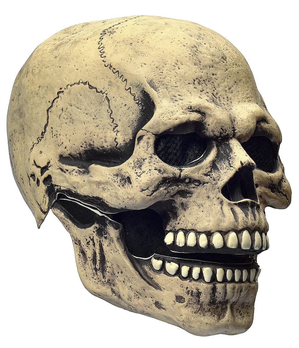 LEKA NEIL Skull Mask - Skull Mask with Movable Chin is suitable for youth or adults over 18 years old.