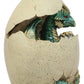 Ebros Emerging Dragon Egg Hatchling With Color Changing Led Night Light Figurine Dragonling Wyrmling Dungeons And Dragons Decor Statues And Figurines Renaissance Medieval Fantasy Creature