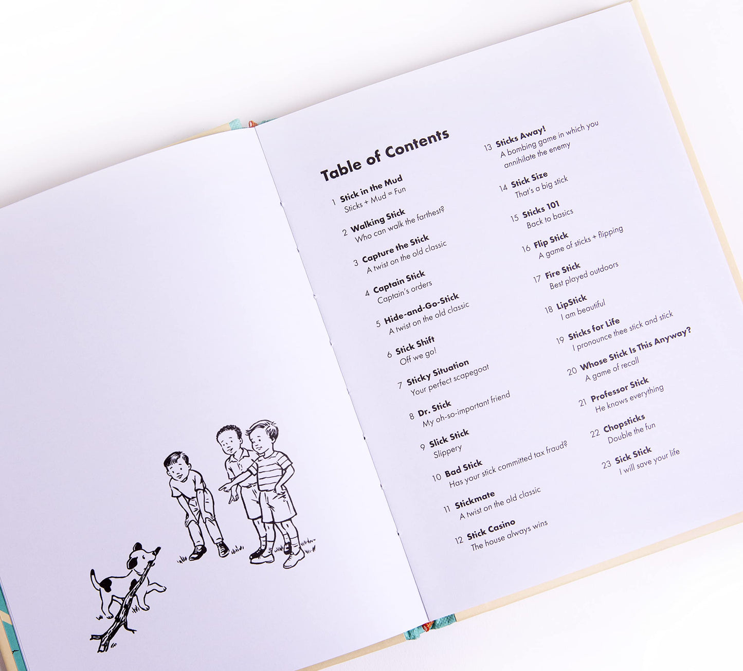 100 Games To Play With A Stick [A Hilarious Parody Book & Gag Gift]