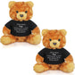 Deekin 2 Pcs Sympathy Gift Small Bear 9.8 Inch Plush Stuffed Animal With A Bear Hug Sign Condolences Memorial Loss Of Loved Idea