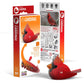 Eugy Cardinal 3D Puzzle, 27 Piece Eco-Friendly Educational Toy Puzzles For Boys, Girls & Kids Ages 6+