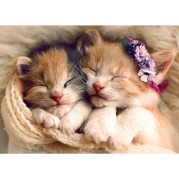 Trefl 500 Piece Jigsaw Puzzles  Sleeping Kittens  Animals