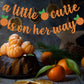 A Little Cutie Is On Her Way Banner, Little Cutie Banner, A Little Cutie Is On The Way Baby Shower Decorations, Girl Orange Theme Birthday Party Decorations Supplies