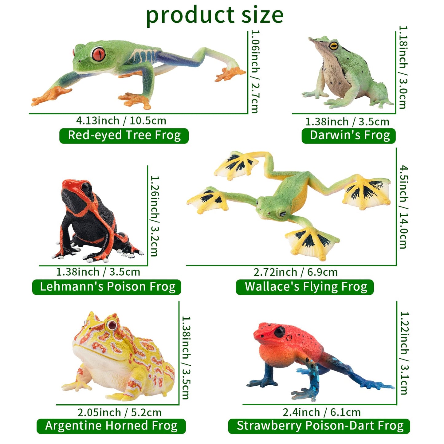 Toymany Frog Toy Figures Set - 10pcs Realistic Plastic Rainforest Animals - Model QINGWA01-10P001 - Perfect for Cake Toppers and Decor